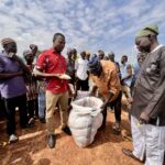 Taking Improved Seeds to Farmers’ Doorsteps: CSIR-SARI’s Agricultural Technology Park Boosts Access to FAW-Tolerant Maize and SARINUT 2 Groundnut in Northern Ghana
