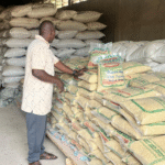 CSIR-SARI’s Agricultural Technology Park Inspires Confidence and Growth in Seed Production